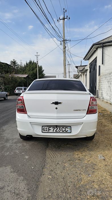 Cobolt 2019 rangi oq