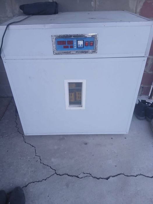 инкубатор для яиц