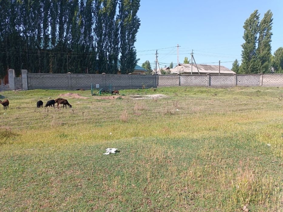 joy sotiladi hamma hujjatlari bor 70 sotix