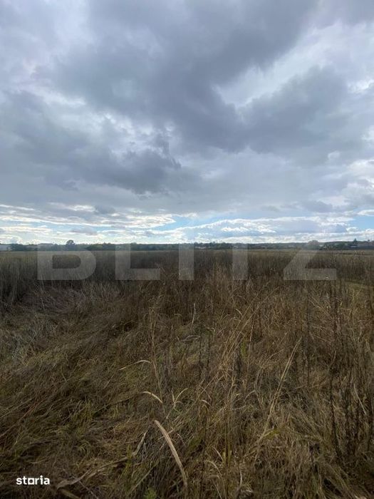 Teren extravilan, 2500 mp, zona Lucieni