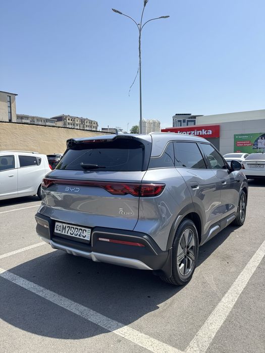 BYD yuan up 2024