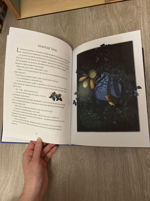 Carte - Pe taramul viselor