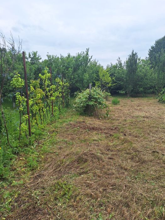 Vand teren intravilan Bascov, Stejaret