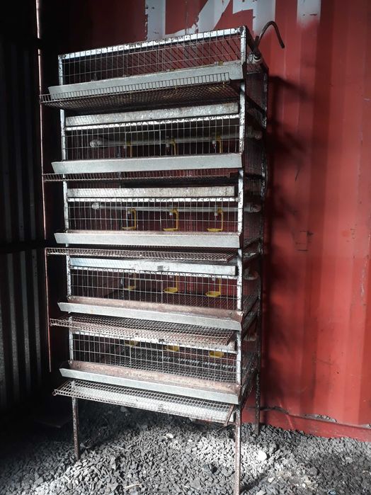 Клетки для перепелов