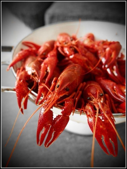 Живые раки на доставку