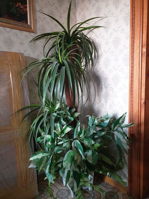 Продам искусственную пальму