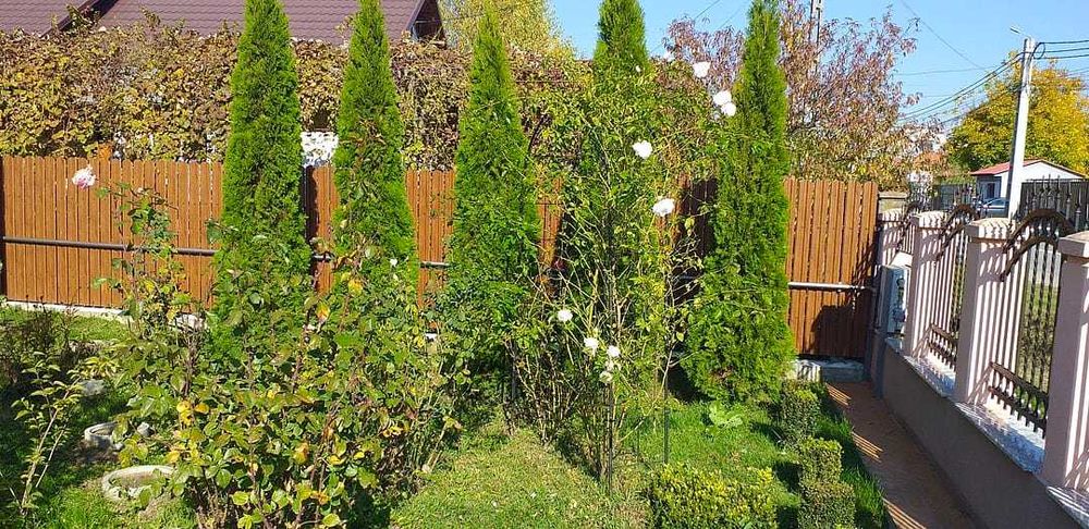 Garduri și porți stil jaluzea șipcă metalică tabla cutata