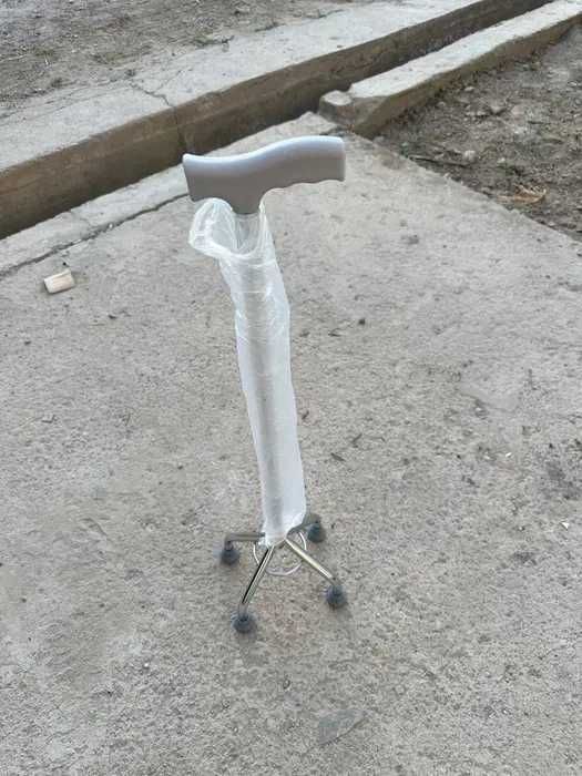 hassa xassa хасса