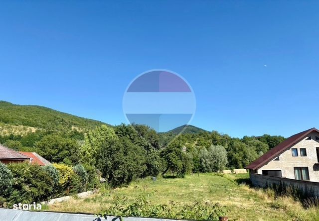 Teren 3,154mp Barsana / centrul satului