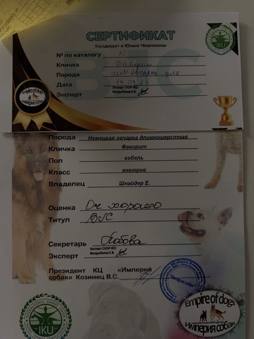 Предлагается к вязке