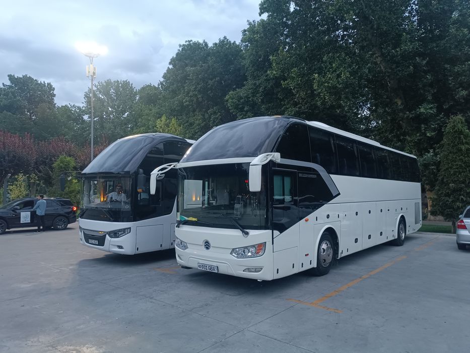 Автобус хизмати услуга
