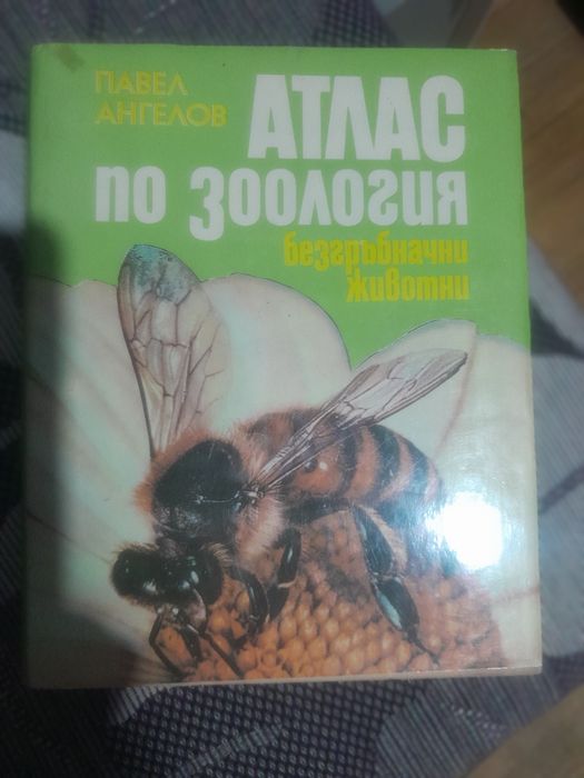 Университетска литература