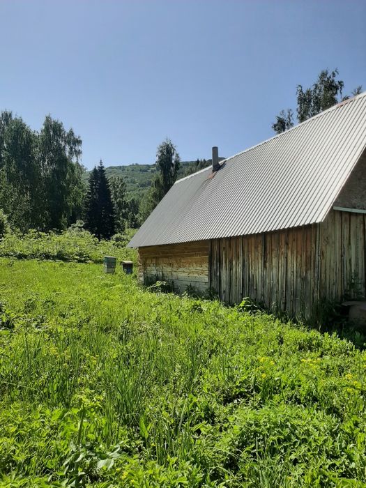 Продам пасеку в .