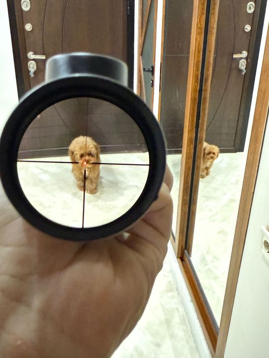 Оптика NIKON MONARCH 7 IL 1.5-6X42