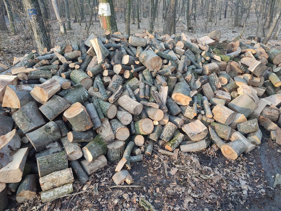 Vind lemne de foc esență tare