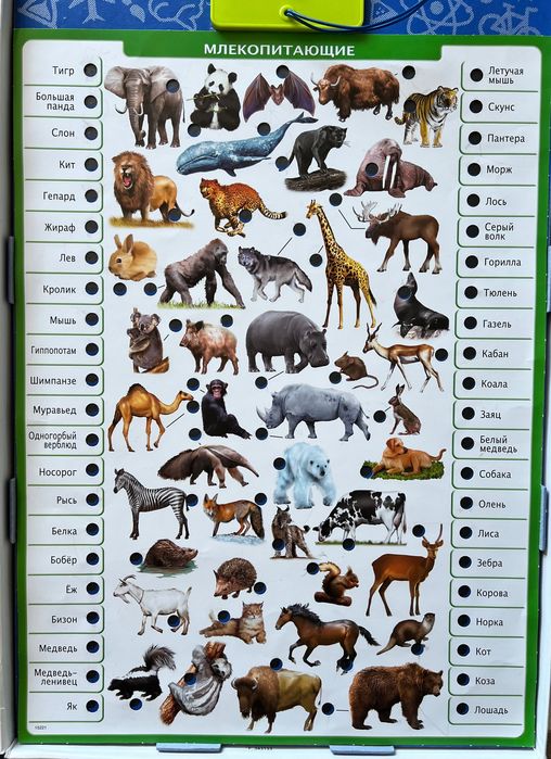 Игра для детей Conector Животный мир