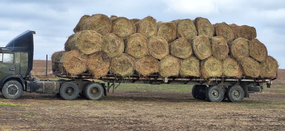 Продам сено,разнотравие  в рулонах