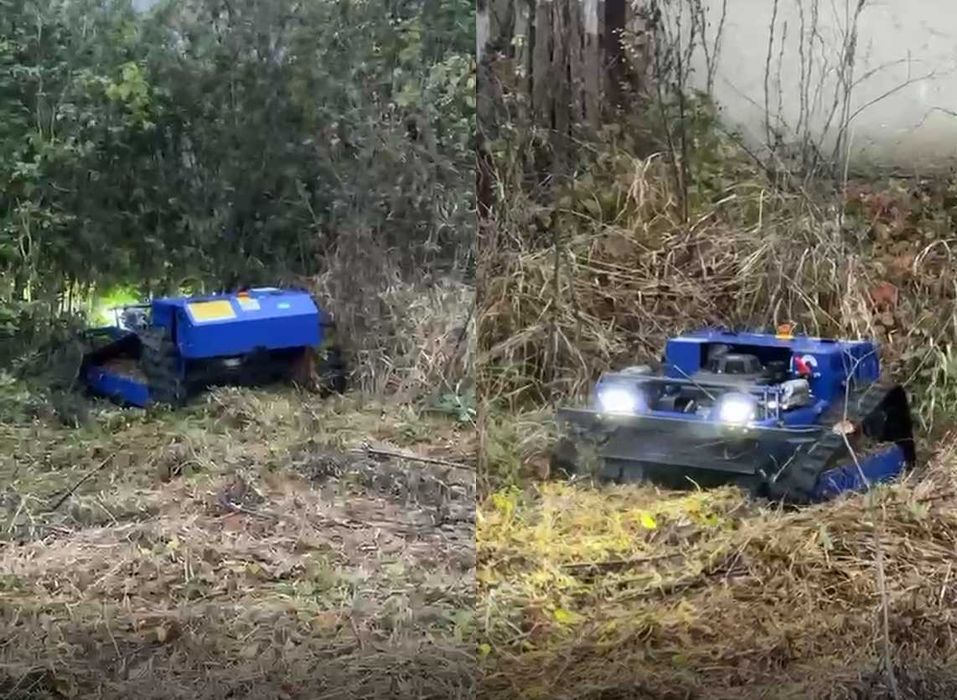 Servicii de cosit, taieri iarba pe terenuri, curti, livezi in Prahova