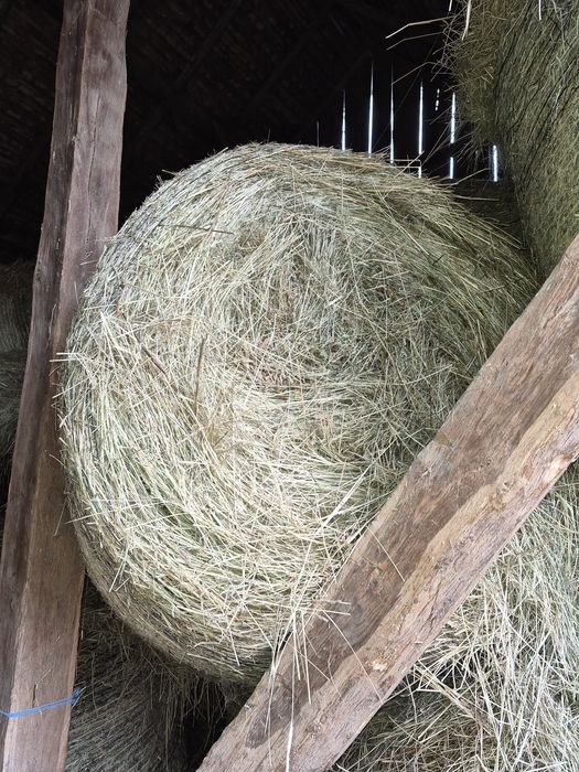 Baloti rotunzi mari de fan 120x120 dimensiune si baloti mici de paie