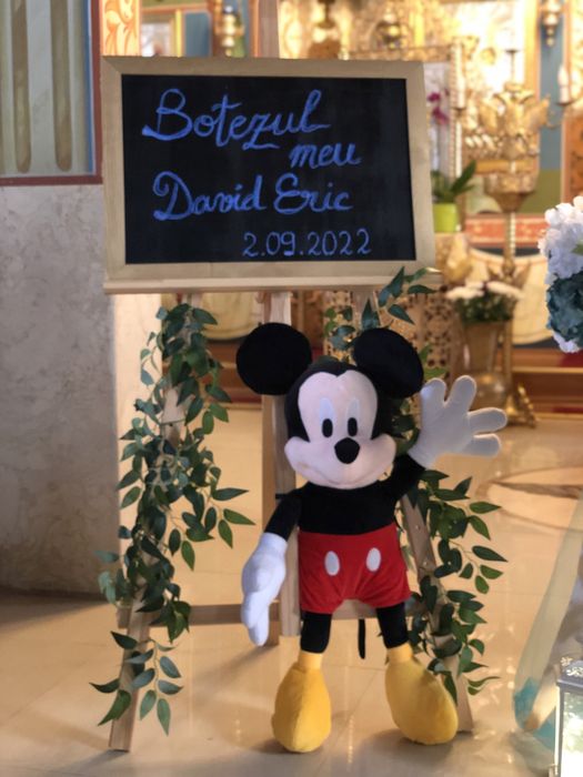 Aranjamente Cristelnite