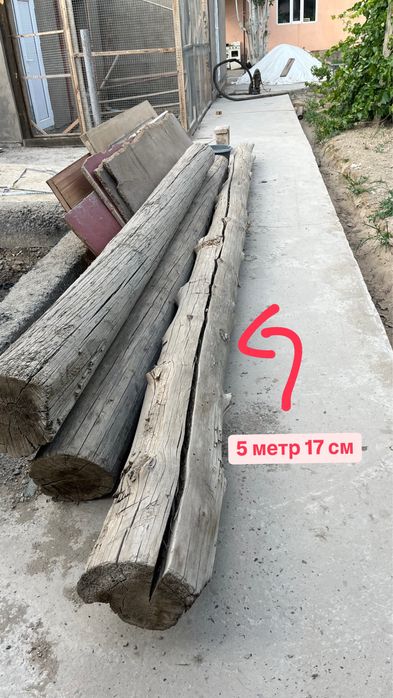 Боренелер сатамын