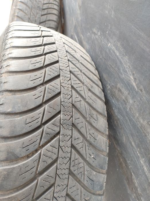 Всесезонни гуми 195/65/15 Nexen Nblue 4 season