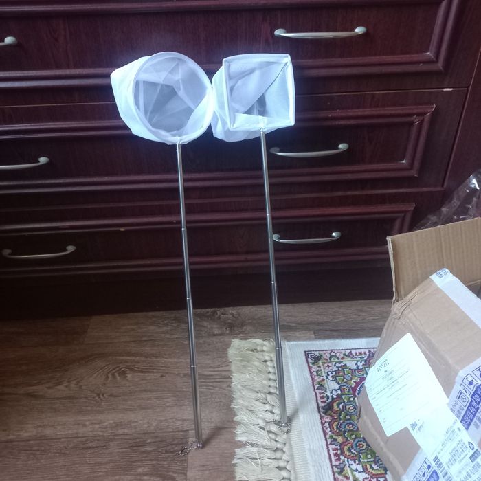 продам рыбки гуппи и улитки.