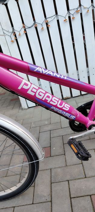 Pegasus roti 24, fete