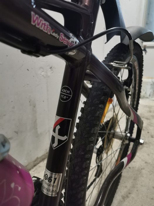 Bicicleta mtb X-Fact 3.1 Lady roti 26"