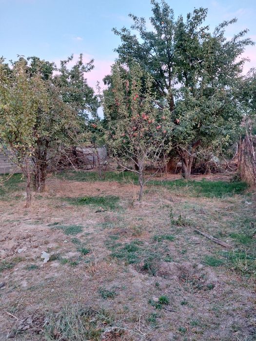 Yer sotiladi Toshkent viloyati Parkent tumani Zarkent qishloĝi