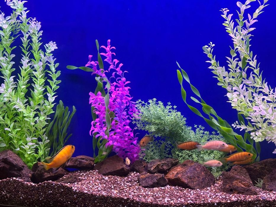 Аквариум 300 литров