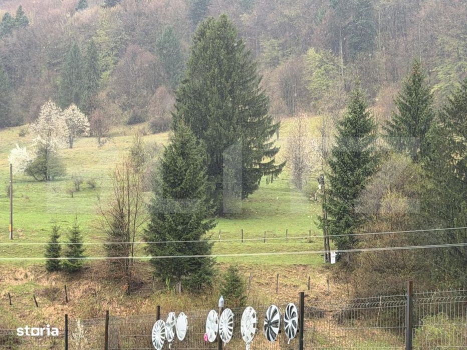 Teren de vanzare - Zarnesti, zona Gura Raului