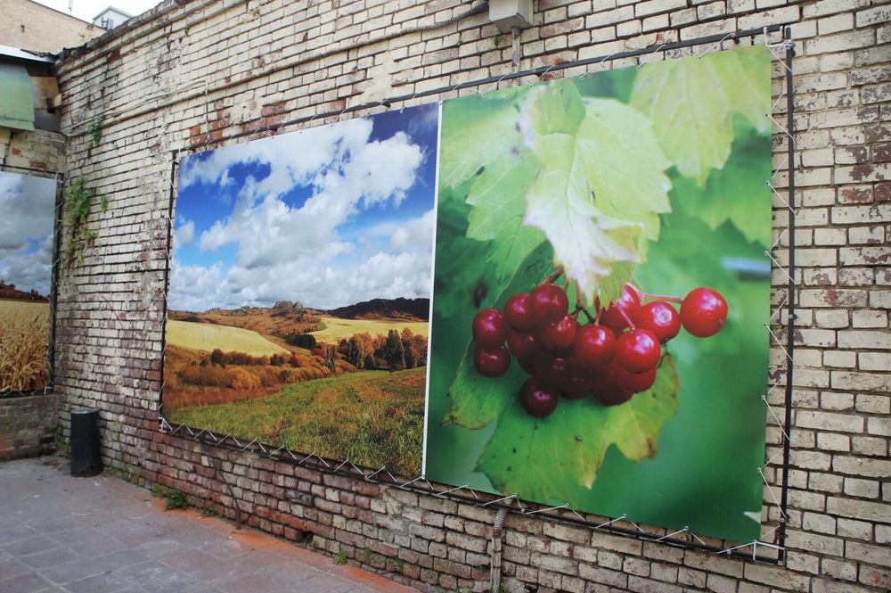 Баннеры, изготовление и установка
