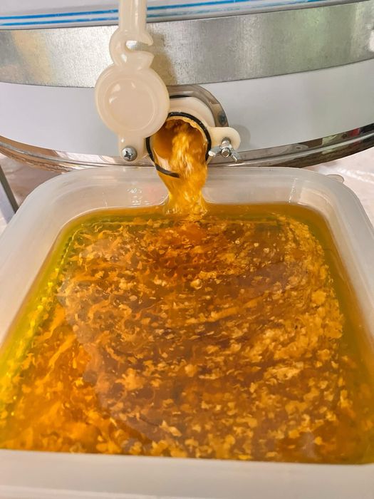 Натурален пчелен Мед