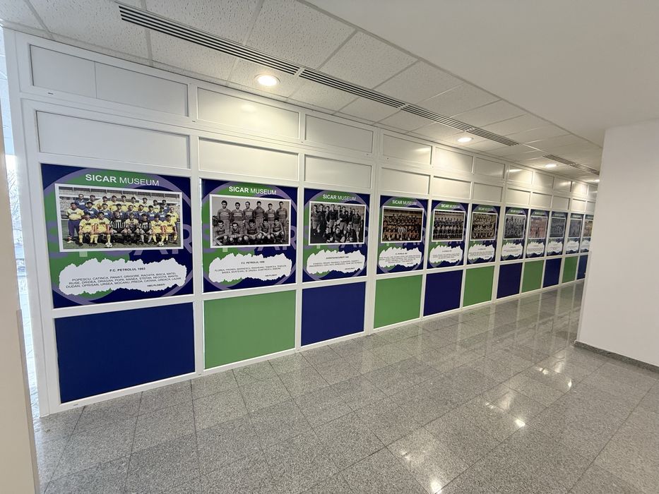 Inscriptionare auto vitrine geamuri materiale publicitare
