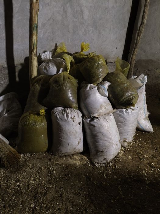 Мол гўнги чиримаган ТЕКИН