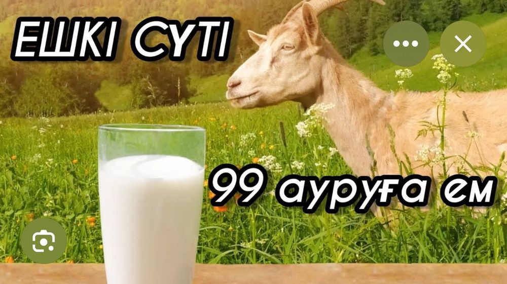 Ешкі сүті саиылады 1л 800тг