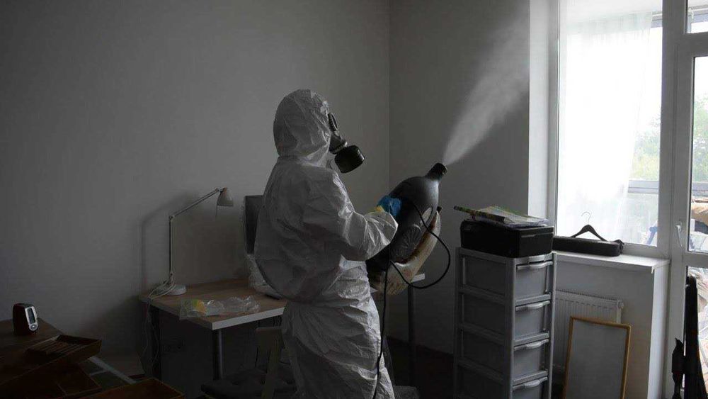 уничтожение клопов дезинфекция от клопов дезинфекция клопов dezinfeksi