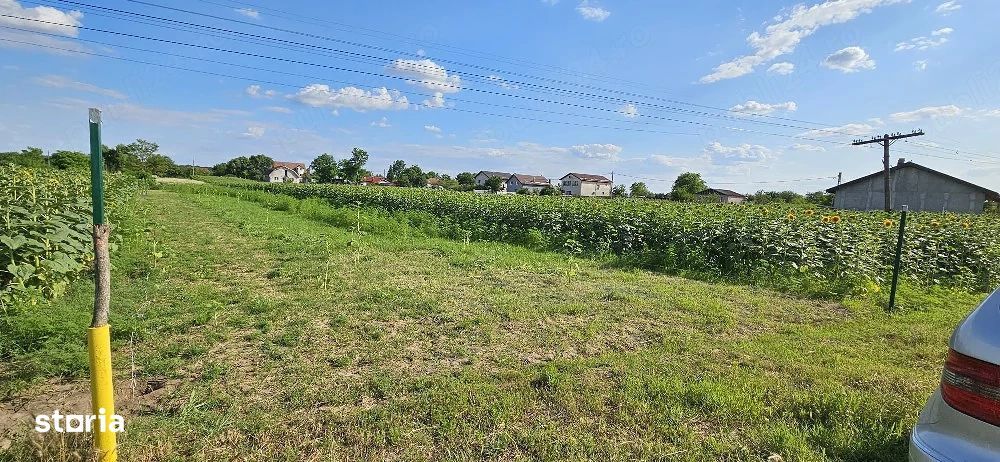 Teren intravilan 1.000 mp | Moara Vlăsiei | Strada Berzei