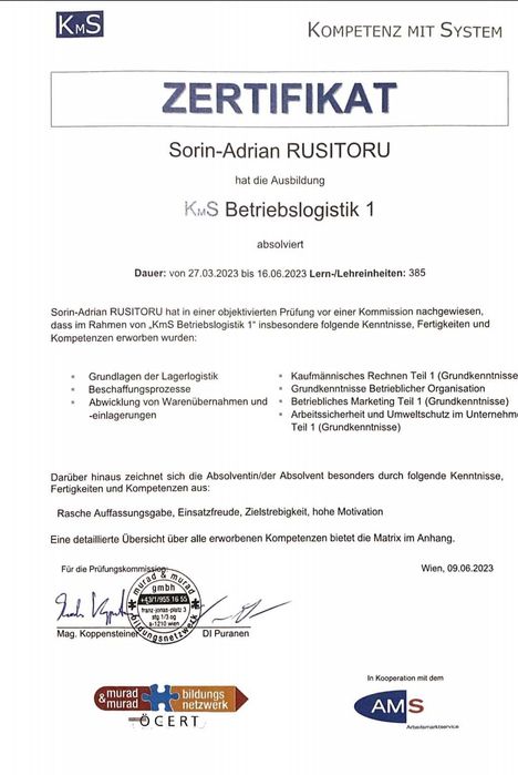 Cursuri limba germană pentru începători