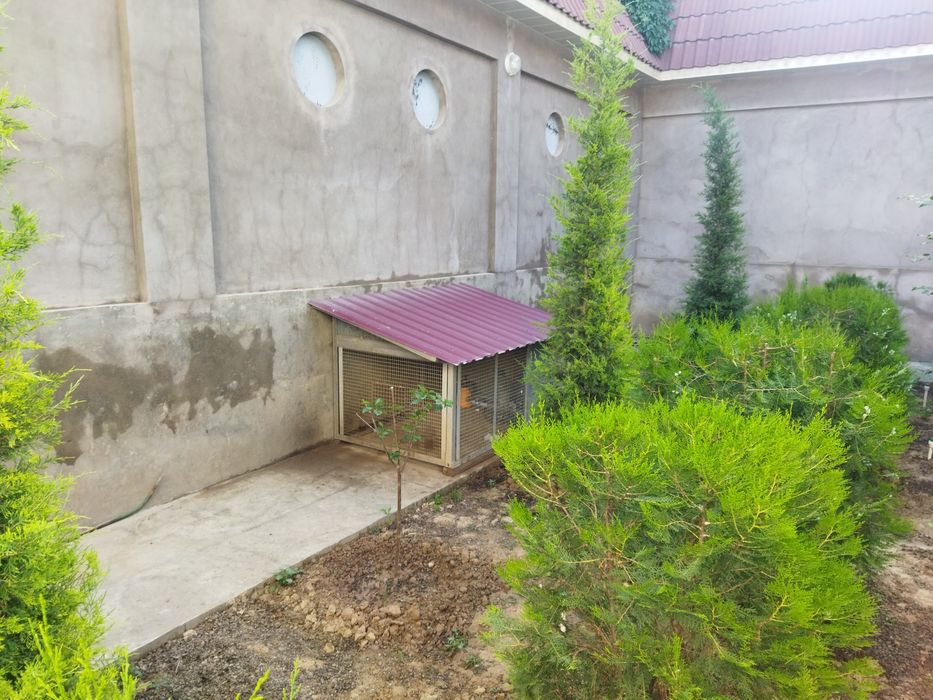 Вальер для собак