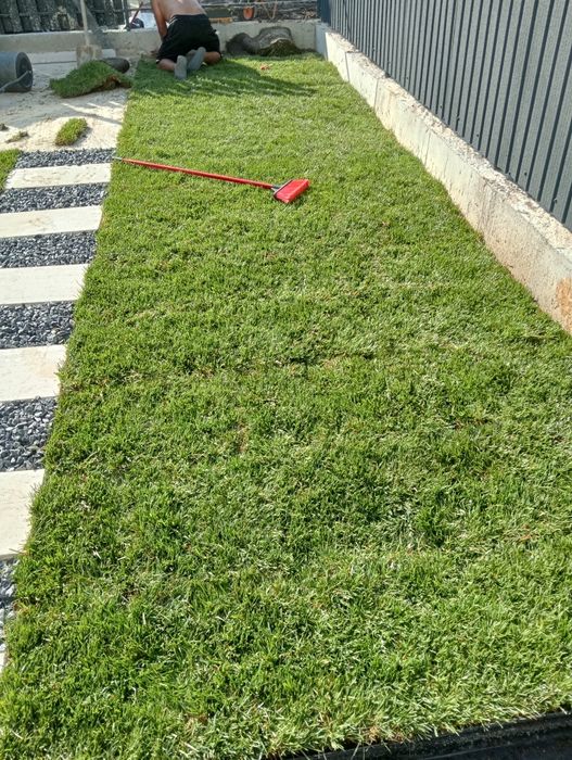 Rulou gazon calitate superioara pentru tine