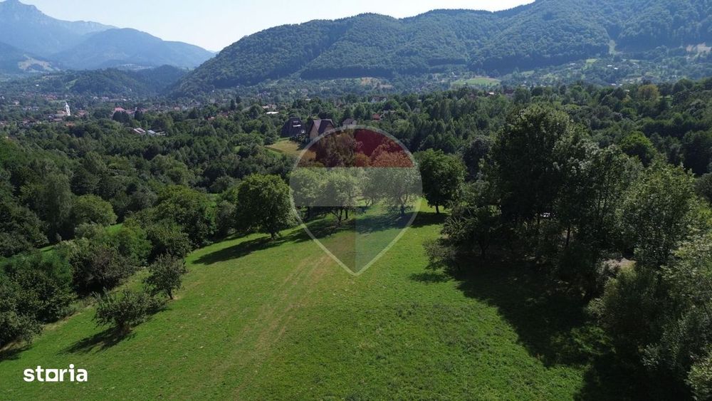 Teren 3,000mp Predelut / Strada Pe Tarina