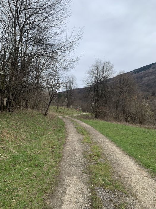 Продава се Парцел в с. Ямна, Област София-област - 828 кв.м за 14 €/кв.м - Снимка #9