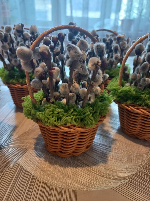 Верба в корзинке
