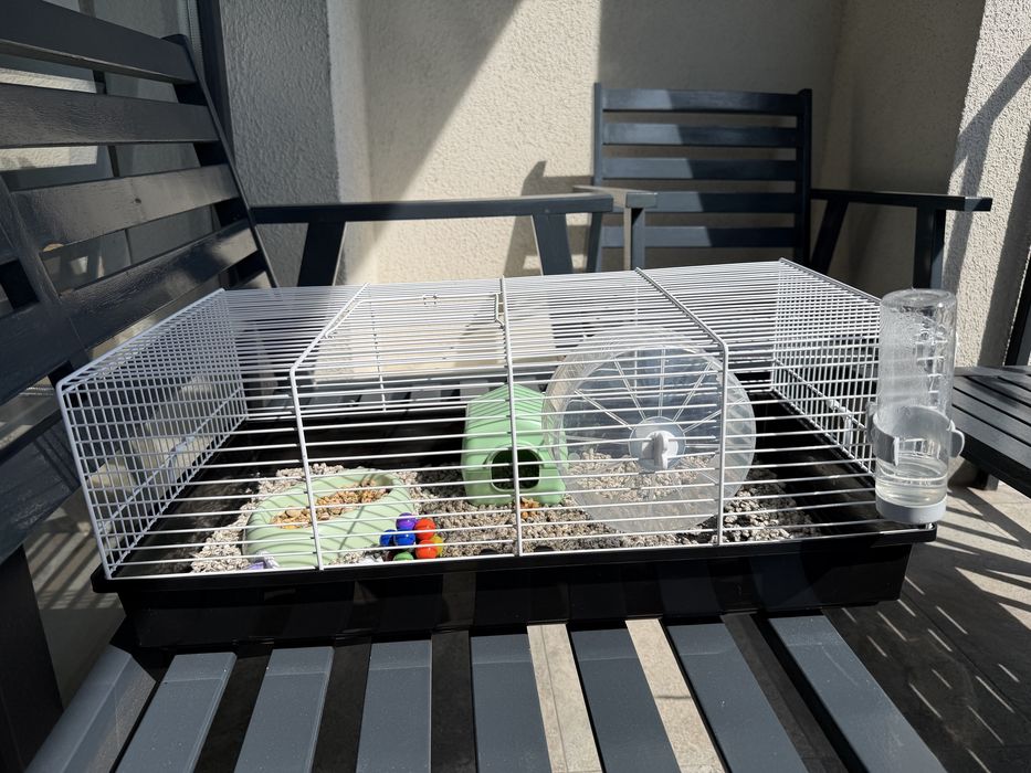 Cusca echipata hamster