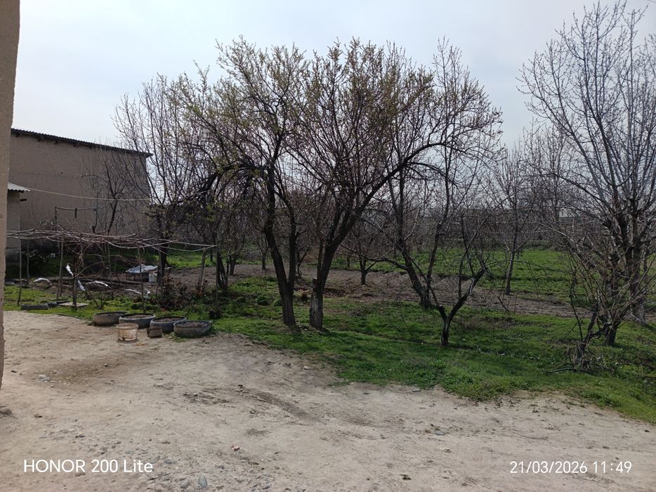 Ховли сотилади 26 сотих