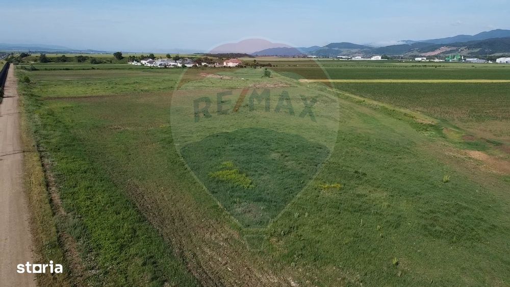 Teren 39,500mp Vintu de Jos