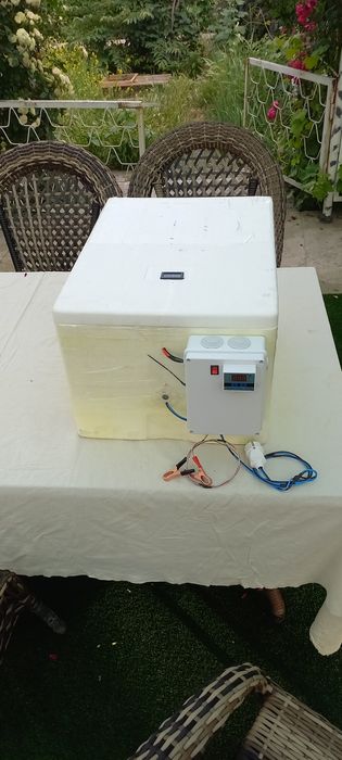 Inkubator avtomat 100%
