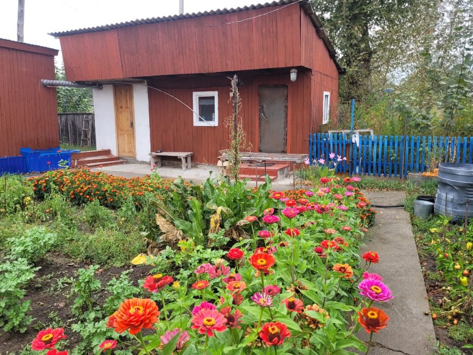 Продам дом в Бородулихе